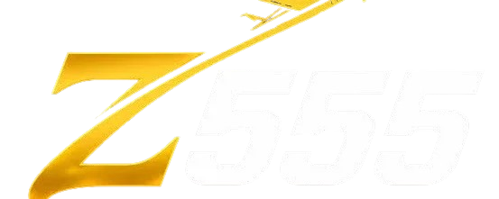 z555
